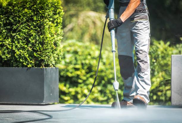 Best Sign and Awning Cleaning  in Morgantown, MS